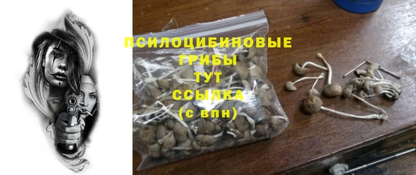 спайс Медногорск