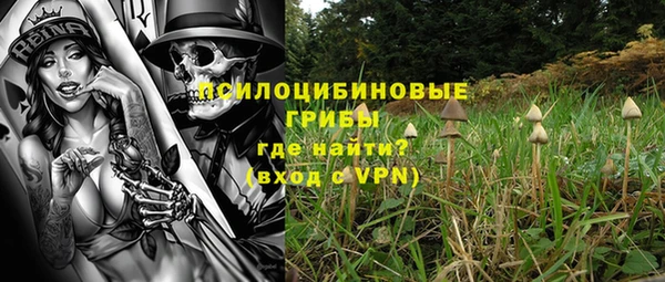 прущие грибы Мегион