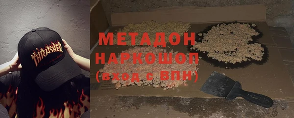 прущие грибы Мегион