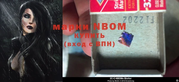 прущие грибы Мегион