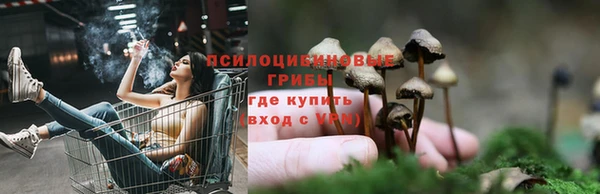 спайс Медногорск
