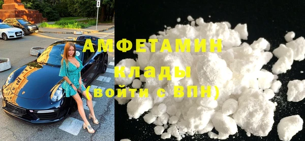 прущие грибы Мегион